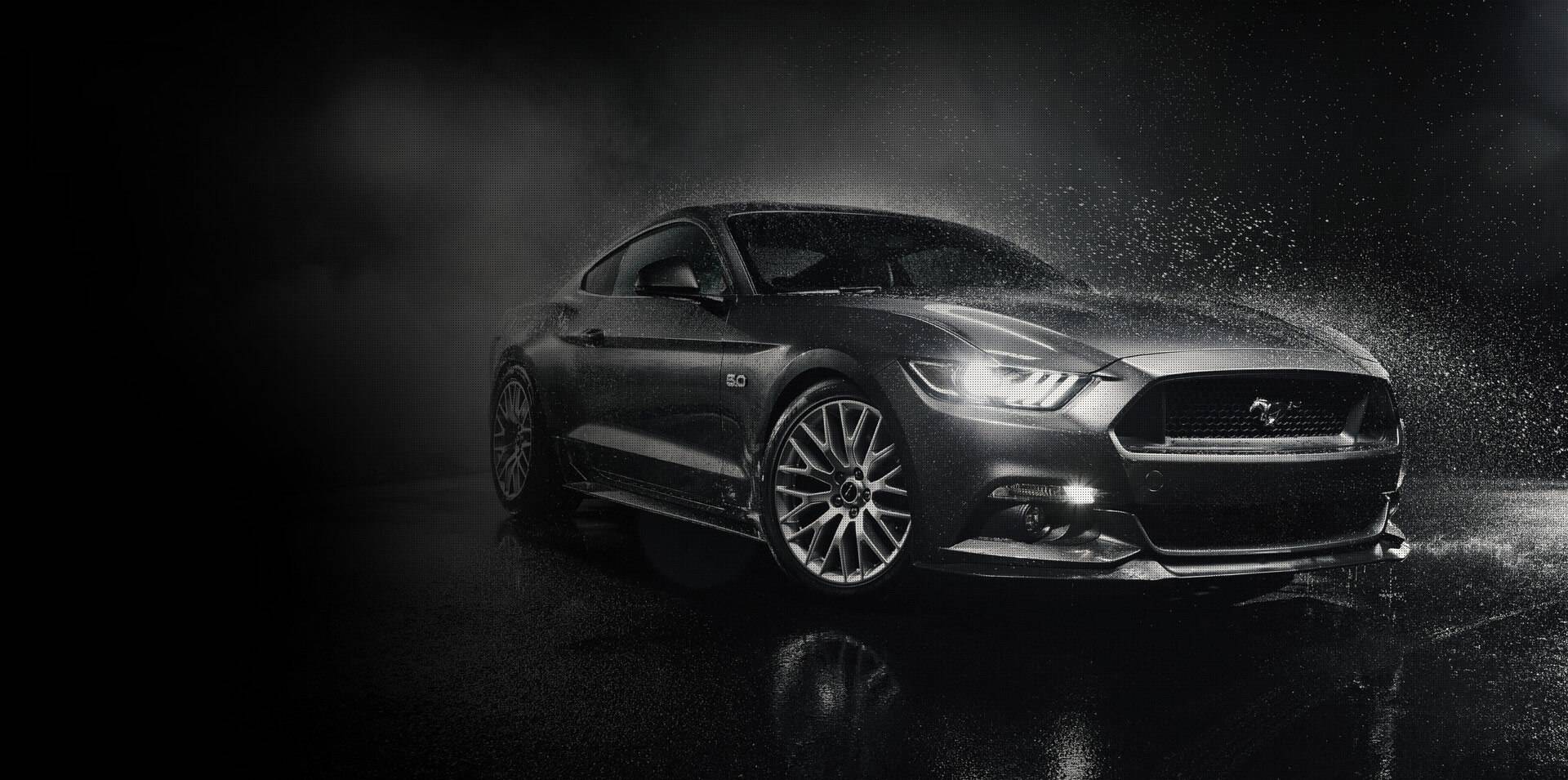 auto-banner